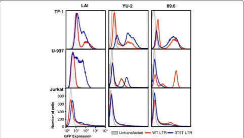 Figure 1 Parental (wild-type; WT) and 3T5T long terminal repeat (LTR) results in cell type–specific phenotypes within differentpromoter backbones