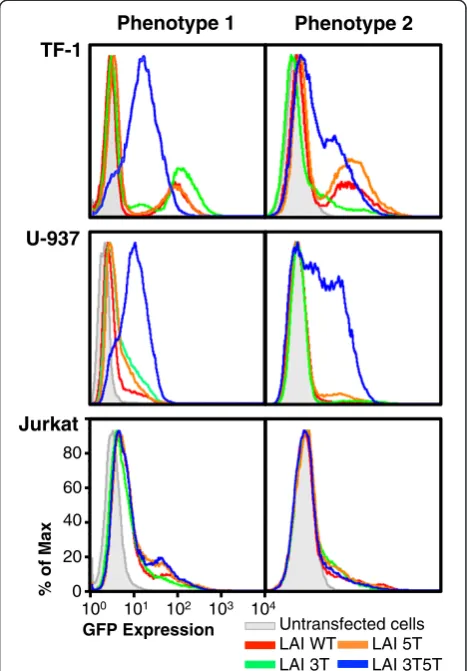Figure 2 Cell populations independently recovered fromlow-temperature storage resulted in two general phenotypeswith respect to HIV-1 3T5T long terminal repeat–greenfluorescent protein (LTR-GFP) basal expression