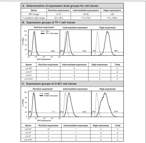 Figure 5 Cell clones developed from total populations of stably transfected TF-1 and U-937 cell lines reflect the green fluorescent(C)population counterparts in terms of basal GFP expression profiles