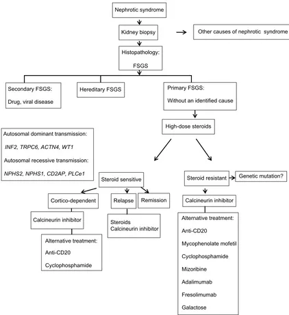 Figure 1 Algorithm for the management of primary FSGS.Abbreviation: ACTN4, α-Actinin 4; CD2AP, CD2-associated protein; FSGS, focal segmental glomerulosclerosis; WT1, Wilms tumor protein.