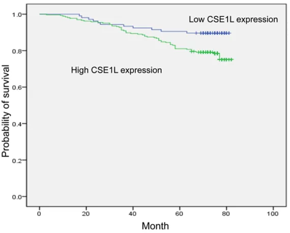 Figure 2. Kaplan-Meier survival curves stratified according to CSE1L expres-sion in patients with breast cancer