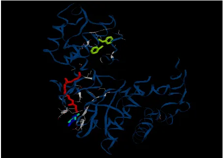Fig. 10: The Total Binding profile for Polio virus 3C  protein with 4 ligands.  