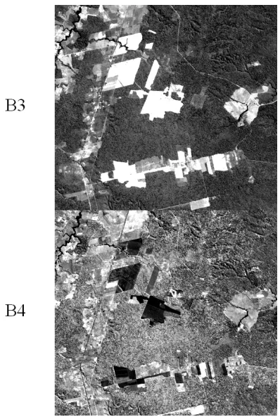 Figure 7: Detail of bands 3 and 4 from TM image