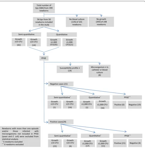 Figure 1 Flow diagram of the diagnosis of catheter-related infections in newborns.
