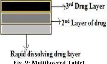 Fig. 9: Multilayered Tablet. 