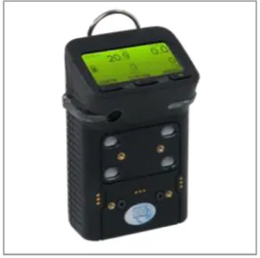 Fig. 1. GIG, IAPs device measurement 