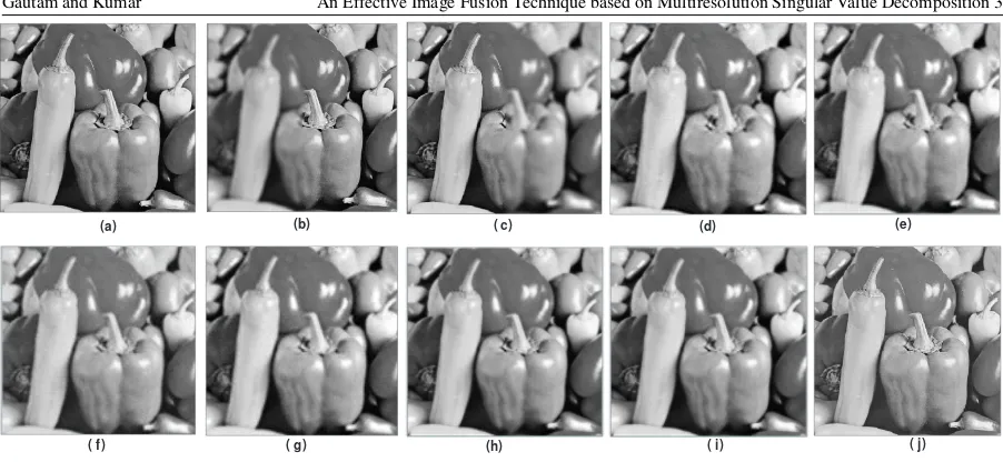 Figure 5: Fusion results for lena image: (a) Reference image (original image); (b) blurred on upper part; (c) blurred on lower part; (d) fusedimage by DWT; (e) fused image by DWT + PCA; (f) fused image by MSVD; (g) fused image by SWT; (h) fused image by CVT; (i) fusedimage by NSCT; (j) fused image by proposed scheme.