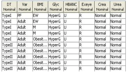 Figure 5: Excerpt of the MONITDIAB base