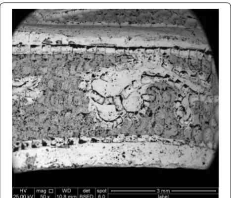 Fig. 6 Backscattered electron SEM image of the front surface of the silver box