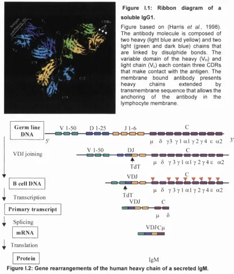 Figure 1.1: 