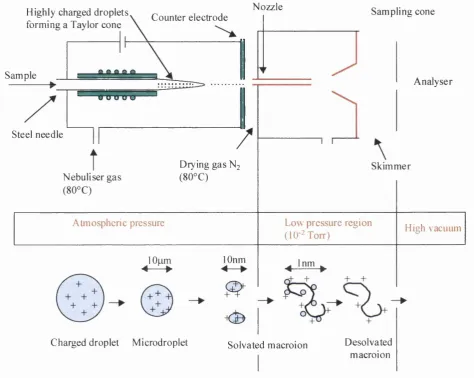 Figure III.1: Schematic representation of the thermally assisted electrospray 