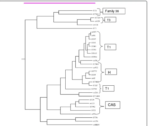 Fig. 5 Dendrogram of extrapulmonary tuberculosis isolates based on genetic similarity of DR regions