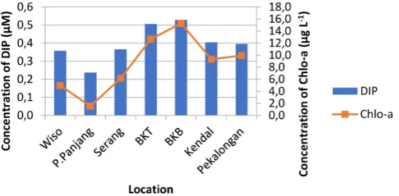 Fig. 2. Concentrations of dissolved organic phosphate (DIP) and chlorophyll on each study site