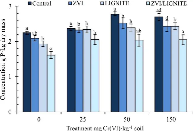 Figure 1. Effect of Cr(VI) contamination on phosphorus (P) content in Indian mustard (g·kg-1dry mass); mean ± SD, n=3; Columns marked with different letter indicate significant differences between members of the same set (Tukey test, P < 0.05)