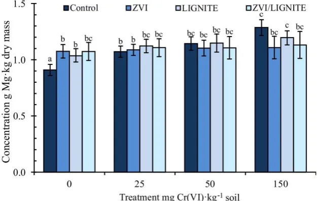 Figure 5. Effect of Cr(VI) contamination on magnesium (Mg) content in Indian mustard (g·kg-1dry mass); mean ± SD, n=3; Columns marked with different letter indicate significant differences between members of the same set (Tukey test, P < 0.05)