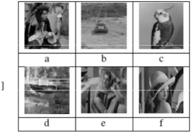 Figure 5: The effect of attacks on watermarked Bird. 
