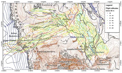 Fig. 4. Landslide inventory map of the area of Gschliefgraben. Slope failures comprise more than 50 % of the area.