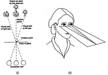 Figure 3.8: Geometry of the cyclopean coordinate system, (i) even though each eye views a different image, the cyclopean ‘central’ processing mechanism perceives the combined visual information, (ii) schematic diagram of the headcentric space.