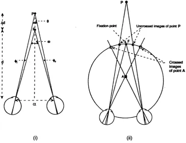 Figure 3.11: Geometric representation of binocular disparity: (i) When the two eyes, separated disparity, (ii) When the eyes converge to a point A inside the horopter, the apparent image hasby distance a, converge to a point P outside the horopter, the apparent image has uncrossed crossed disparity.