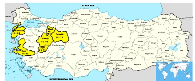 Figure 1. The provinces where ceramic samples are taken in Turkey (with company and sample numbers)