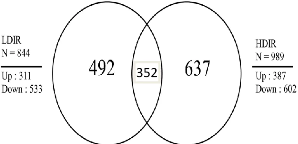 Figure 1. Differentially expressed genes (DEGs) in the low-dose ionizing radiation (LDIR)- and high-dose ionizing radiation                  (HDIR)-exposed skin transcriptomes