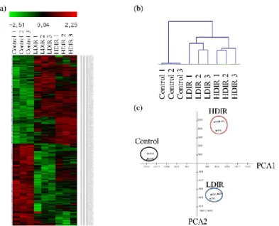 Figure 2. Visualizations of cDNA microarray gene expression profiles of the LDIR- and HDIR-exposed skin transcriptomes