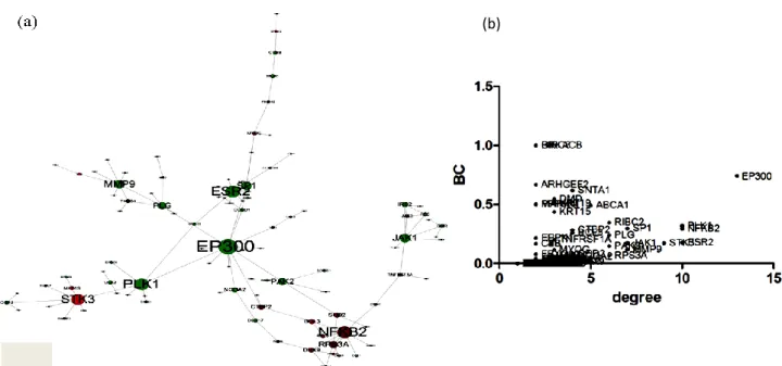 Figure 4. Protein-protein interaction network composed of DEGs in the LDIR transcriptome