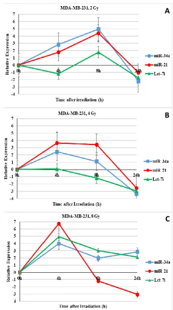Figure 1. Relative expression of miR-34a, miR-21 and let-7i              microRNAs in MCF-7 cells after exposure to different doses of         