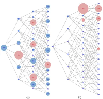 Fig. 8 Support graph and distance graph of first trial (a) The support graph (b) The distance graph