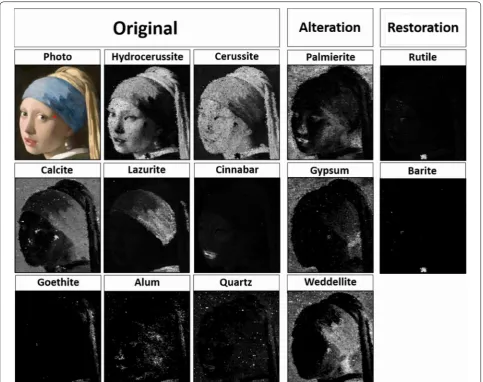 Fig. 2 Results obtained with MA-rXRPD. Distribution images obtained with MA-rXRPD showing the scaling parameter for every pixel