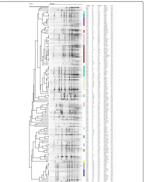 Fig. 2 PFGE dendrogram of 128 N. gonorrhoeae isolates with associated tbpB and NG-MAST results and the region and year of their isolation.Dendogram is organised by pulsotypes with coloured squares highlighting groups of indistinguishable pulsotypes