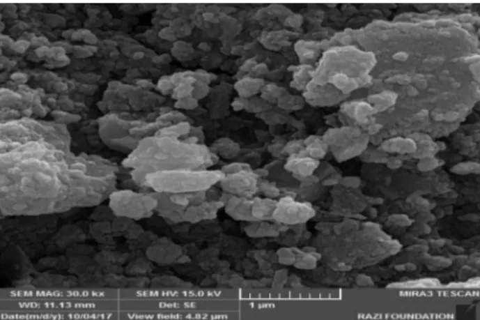 Figure 19. The microscopic photo of concrete specimen containing (including) the optimum value (amount) of polypropylene bers.