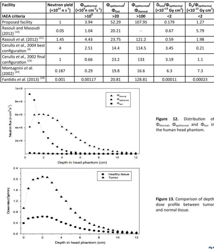 Figure  12.  Distribu on  of  Φ thermal ,  Φ epithermal   and  Φ fast   in  the human head phantom