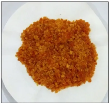 Figure 1. The result of xerogel synthesized at 80°C 