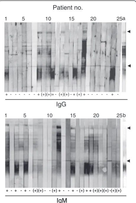 Figure 3 IgG and IgM binding to the outbreak strain with serafrom UAT negative LD cases