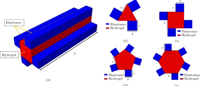 Figure 1. (a) The schematic of biphasic twisting actuator. Cross sections of (b) triangular, (c) square, (d) pentagonal, and (e) hexagonal biphasic twisting actuators.