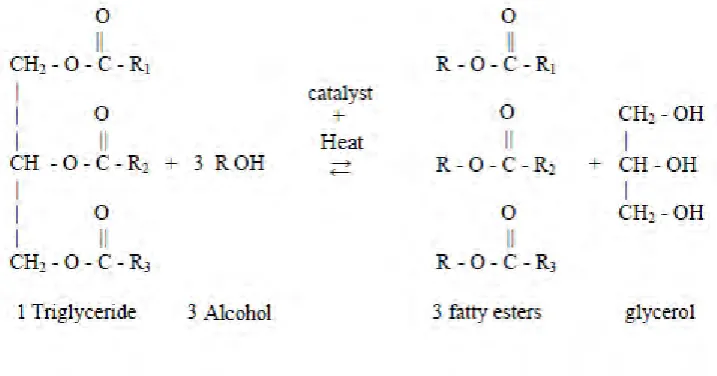 Figure 2.3: The overall chemical equation of transesterification process. 