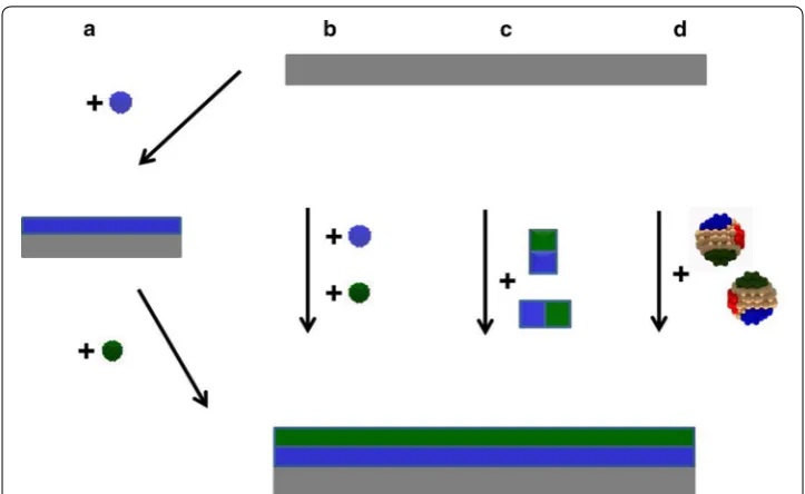 Fig. 2 Sketch showing the four different surface functionalization processes (a, b, c, and d) addressed in this contribution, resulting in dual layer coatings on a substrate