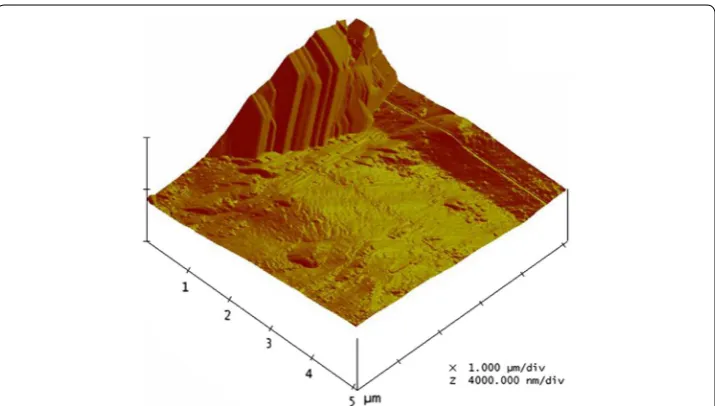 Fig. 4 SFM image of a grain protruding from a polished AM50 surface