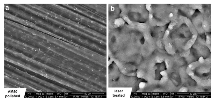 Fig. 7 Light microscopy images of AM50 substrate surfaces covered with SiOlayers with a low (xCyHz‑type plasma polymer L), medium (M) or high (H) content of (hydro)carbon species