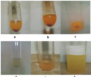 Figure  3. The  phytochemical  qualitative  test  results  from:  (a)  alkaloid test  using  Wagner’s  reagent; (b) alkaloid test using Meyer’s reagent; (c) alkaloid test using Dragendorff’s reagent; 