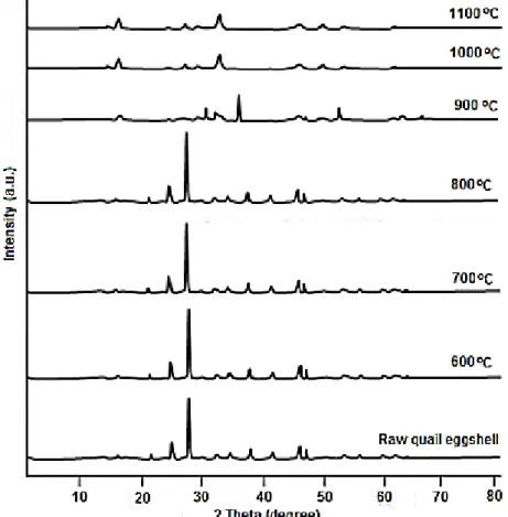 Figure 1. XRD powder patterns of decomposition of quail eggshell at various temperatures