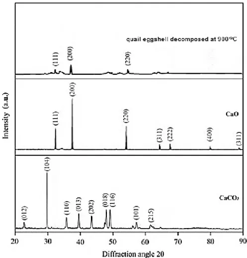 Figure 2. XRD powder patterns of calcium oxide and calcium carbonate from JCPDS and  quail eggshell decomposed at 900 o C