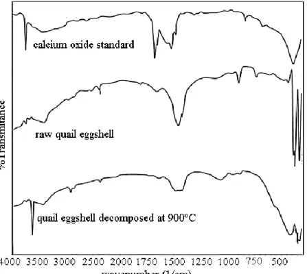 Figure 3. FTIR spectrum of calcium oxide standard, quail eggshell, and quail eggshell  decomposed at 900 o C