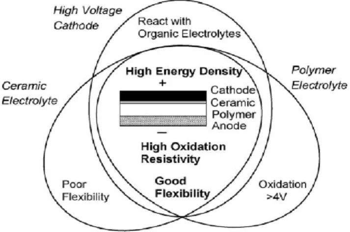 Figure 1. Schematic of “Ceramic/polimer composite concept [13] 