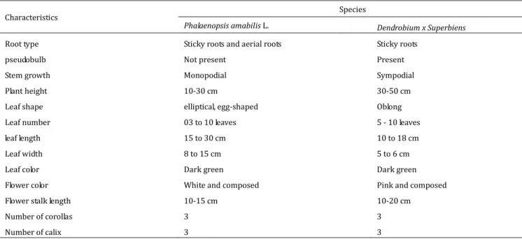 Table 1. The morphological comparison features between Phalaenopsis amabilis L and Dendrobium x Superbiens (Iswanto, 2005; Jones, 2006; 