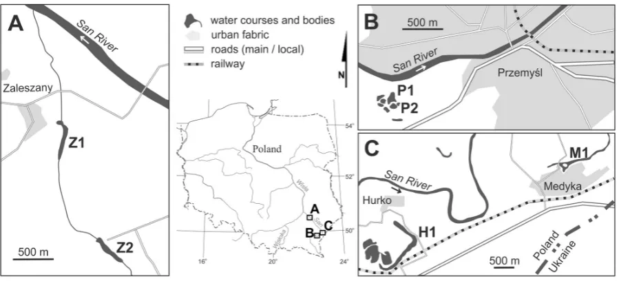 Figure 1. Situation map of six studied oxbow lakes