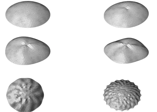 Figure 5. Shape of a radially symmetric droplet with a bottom tap of radius a = 1.16 under a potential V = 0.6 (top left)