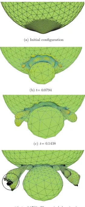 FIG. 2. (Color online) Detail of the shape of the plasma at t = 0.1769.