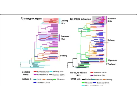 Figure 3 Bayesian maximum clade credibility (MCC) trees of HIV-1 strains from Burmese LDTDs